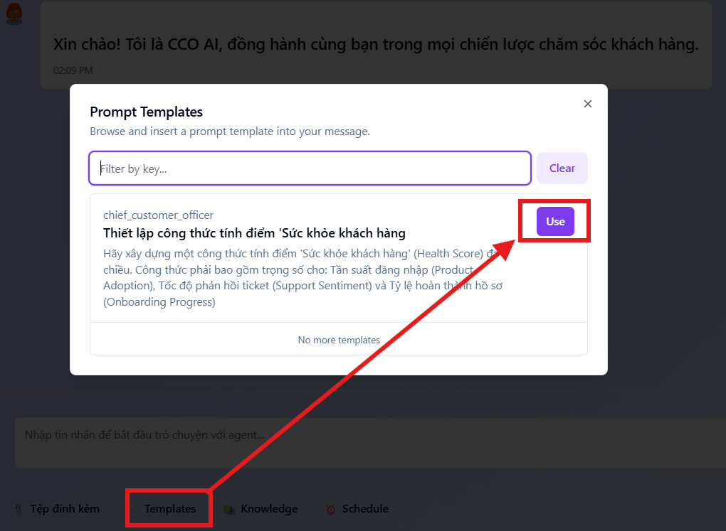 Mẫu Prompt CCO